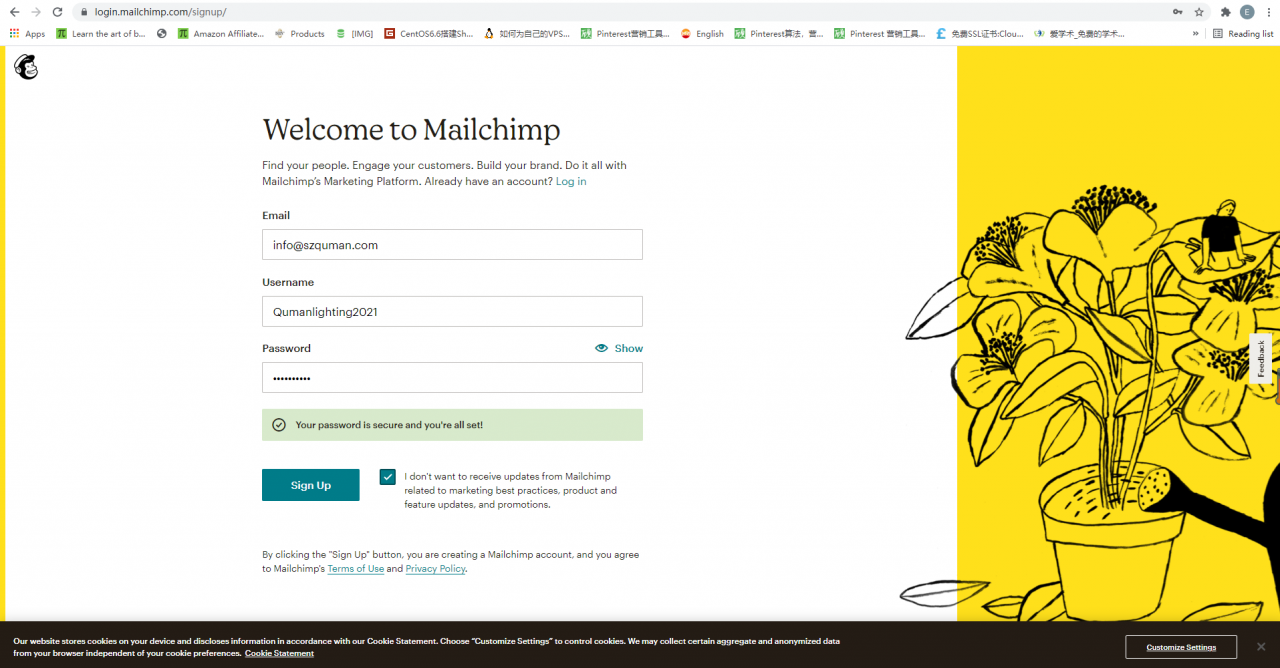 mailchimp填写注册资料