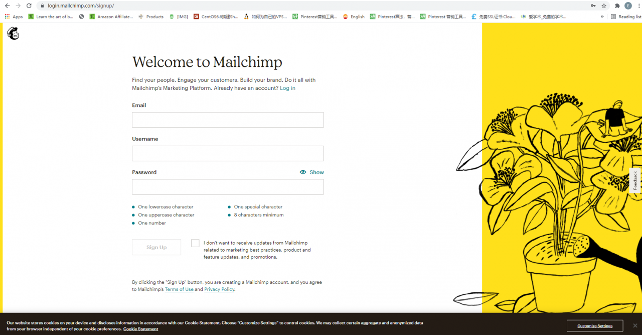 mailchimp注册界面